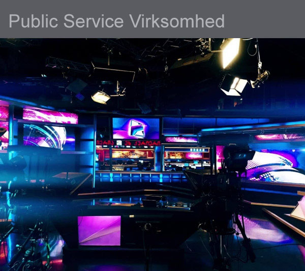 Public Service Virksomhed